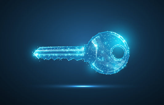 Co to jest licencja ESD i dlaczego warto ją wybrać?